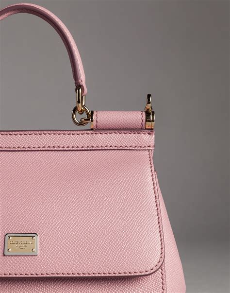 mini dolce and gabbana bag